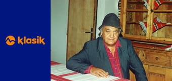 Anderov rebrinák E8