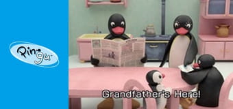 Pingu w miescie Sezon 2 Odcinek 3 Pingu w miescie Sezon 2 Odcinek 3