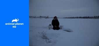 Последние жители Аляски S3E9 Последние жители Аляски S3E9