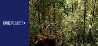 У пошуках знань. - серия 21