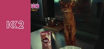 Удачний проект S5E21