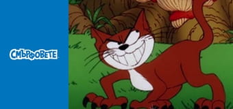 Изворът на младостта / Дива муха от джунглата Изворът на младостта / Дива муха от джунглата