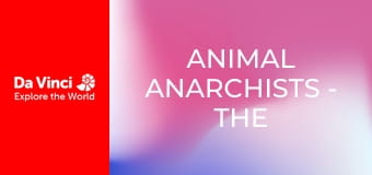 Animal Anarchists - The Elephant Yam Trap