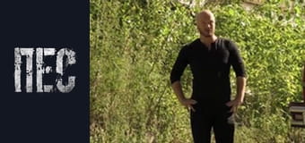 Dog, Season 3, Episode 14