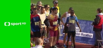 Koně a sport Koně a sport