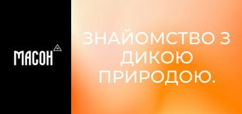 Знайомство з дикою природою. Плямисті гієни. Знайомство з дикою природою. Плямисті гієни.