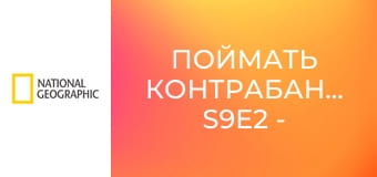 Поймать контрабандиста S9E2 - Мет в острых перцах
