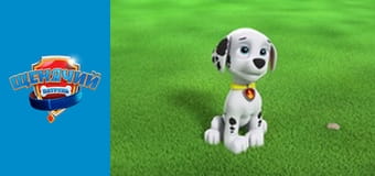 Щенячий патруль. Сезон 2 - серия 11