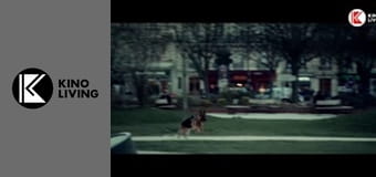 Т/с "Найди меня", 1 с.