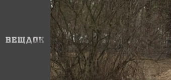 Особливий випадок. Близькі люди - Неземна