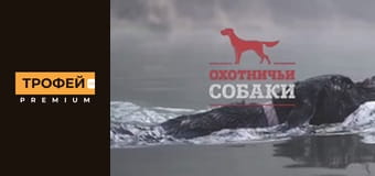 Мисливські собаки. Серiя 15