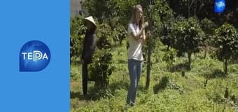 Выходя за пределы, 12 эп. Выходя за пределы, 12 эп.