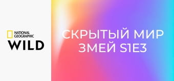 Скрытый мир змей S1E3