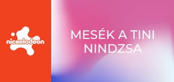 Mesék a tini nindzsa teknőcökről S1E3 - Raf átgondolja