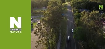 Австралийские змееловы - Туалетная неожиданность Австралийские змееловы - Туалетная неожиданность