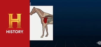 Необъяснимое с Уильямом Шетнером, 16 эп. Удивительные способности животных.