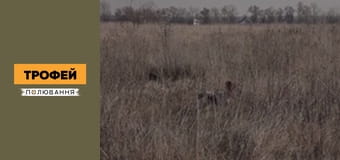 Мисливські собаки Сезон 1 Епізод 44