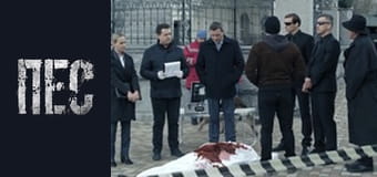 Пёс, Сезон 6, Серия 21