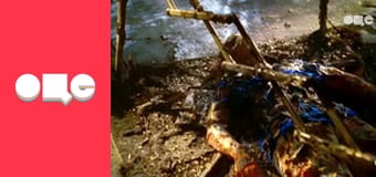 Т/с "CSI: Майами", 6 сезон, 12 с.