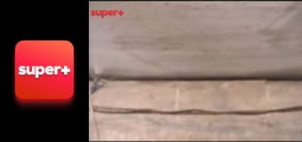 "Хата на тата", 3 сезон, 2 еп. "Лисюк".