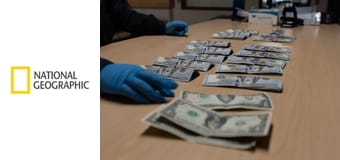 Поймать контрабандиста: Аэропорт Кеннеди S9E5 - Прощай, оружие