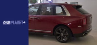 Дивовижне поруч - серія 5