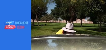 Resort season - Episode 1 - Abu Dhabi