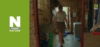 Рятувальники тварин у Малаві - Сезон 2 - Нова мама Циби