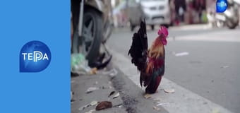 На языке танца, 2 эп. На языке танца, 2 эп.