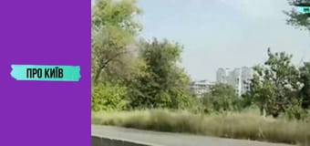 Кафе "Пінгвін" на Куренівці. Історія створення та сьогодення. Культові місця Києва #1.