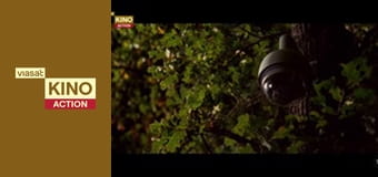 Що приховує брехня