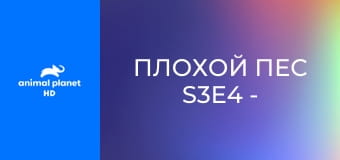 Плохой пес S3E4 - Обезъянье хозяйство