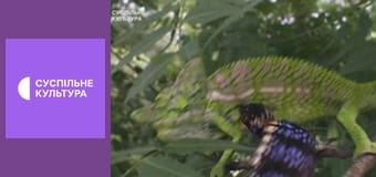 Д/с "Спецпризначенці тваринного світу". "Особливе спорядження".