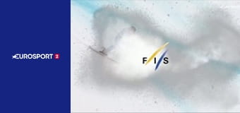 Горнолыжный спорт. Кубок мира. Финал в Квитфьелле, Норвегия. Мужчины. Супергигант.