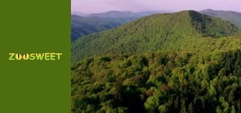 Wild Carpathians, Season 1, Episode 2