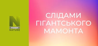 Слідами гігантського мамонта