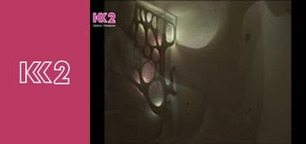 Спеція E25 - Страви з рисом