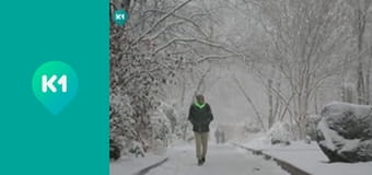 "Орел і Решка. Дайджест".