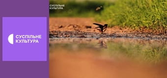 Д/с "Спецназ животного мира". "Специалисты".