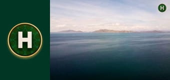 Латиноамериканський check-in