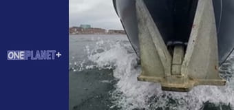 Собственными глазами. - cерия 2 Собственными глазами. - cерия 2