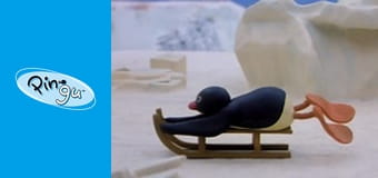 Pingu Sezon 1 Odcinek 7 Pingu Sezon 1 Odcinek 7