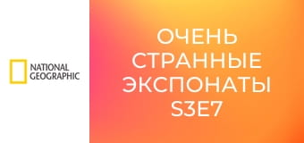 Очень странные экспонаты S3E7 - Флейта из Дивье Бабе, туфли для казино и проклятый аметист
