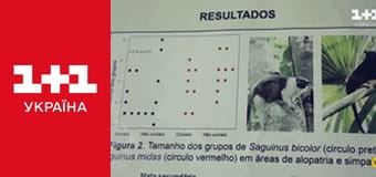 Світ навиворіт S10E16