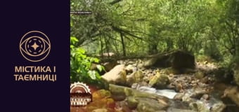 Тайны мира. Выжить возможно!