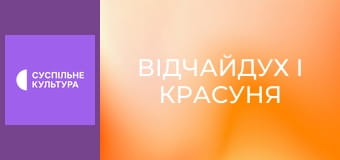 Т/с "Відчайдух і красуня", 48 і 49 с.