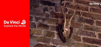 Animal Anarchists - The Inhabitants of Cheese