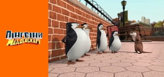 Сезон 1 - Серия 13