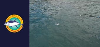 Gail Force, part 4 Gail Force, part 4