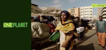 Кругосветка с Педро, 3 сезон, 10 эп.